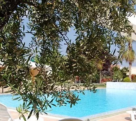 Altamira Orsogna